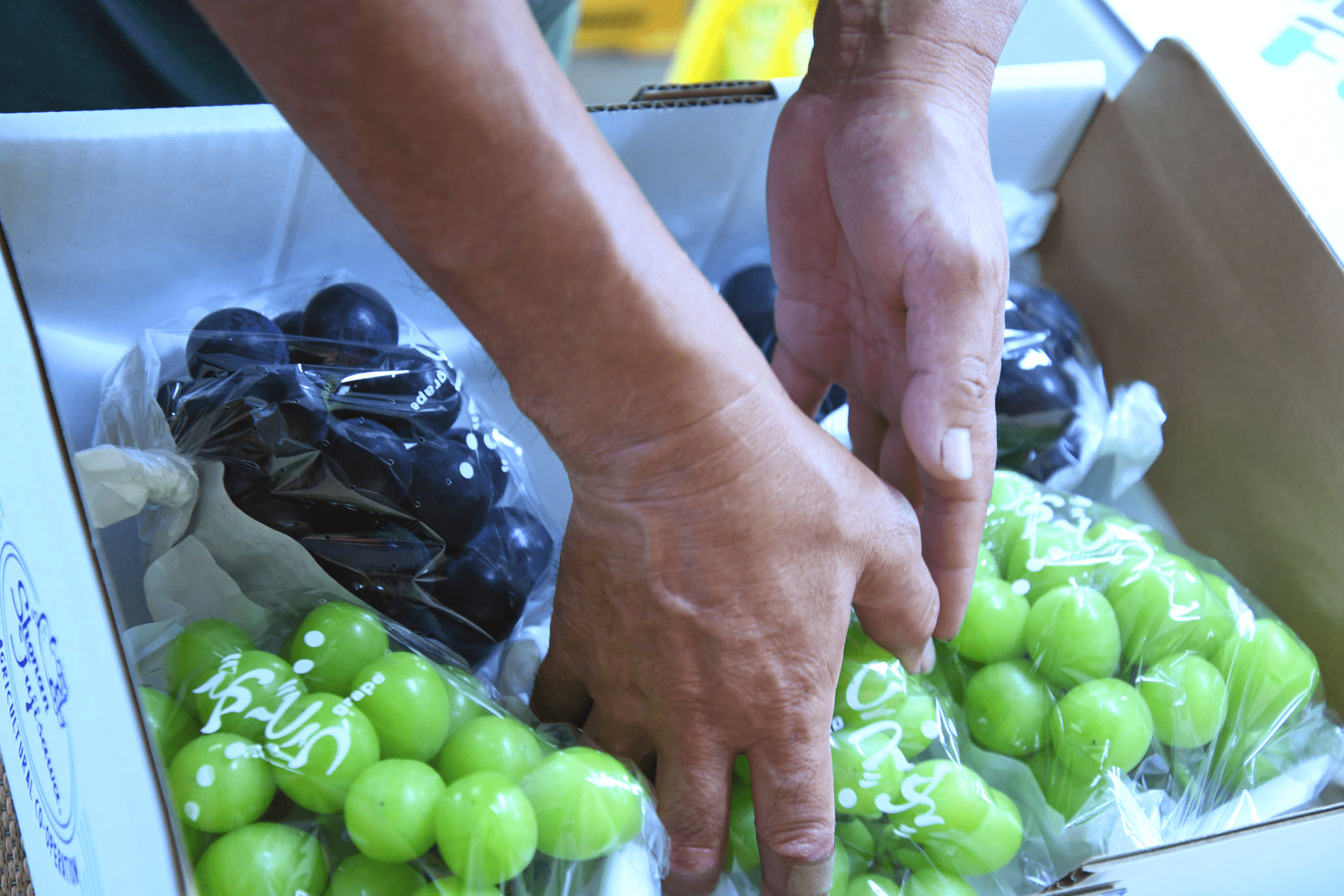 Japan Fruits Channel 美味しいフルーツを高鮮度でお手頃価格を実現